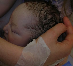 aidan cropped 030001